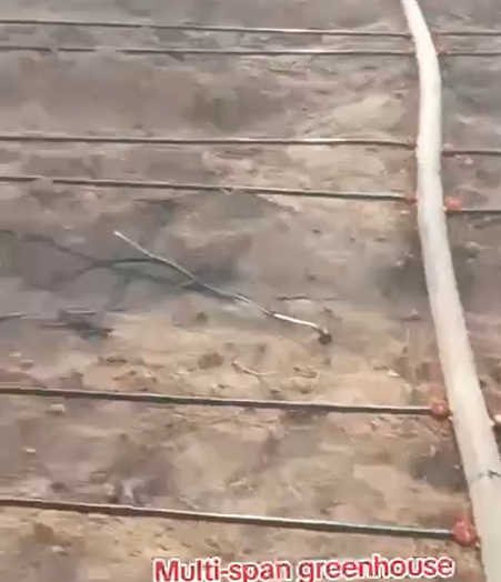 Guryasamo Greenhouse farm 