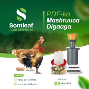 PDF Qalabka Mashruuca Digaaga
