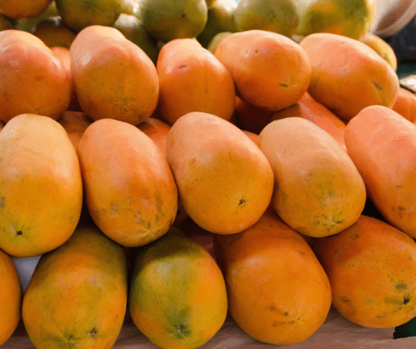 Sida loo beero Papaya - Image 6