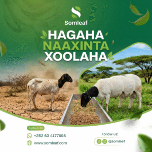 Hagaha Naaxinta Xoolaha PDF